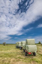 De eerste oogst in het voorjaar in Gaasterland, Friesland. by Harrie Muis