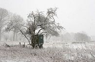Impression einer Winterlandschaft in den Rheinauen bei Düsseldorf van wunderbare Erde thumbnail