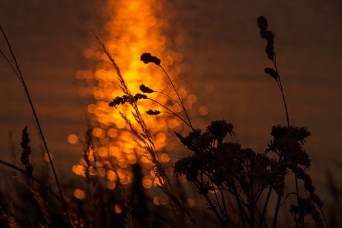 Sonnenuntergang am Markermeer