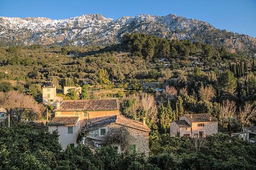 Oude boerderijen bij het dorp Fornalutx, Mallorca van Christian Müringer