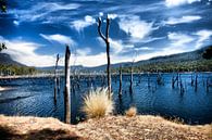 Lake Pedder par René Kempes Aperçu