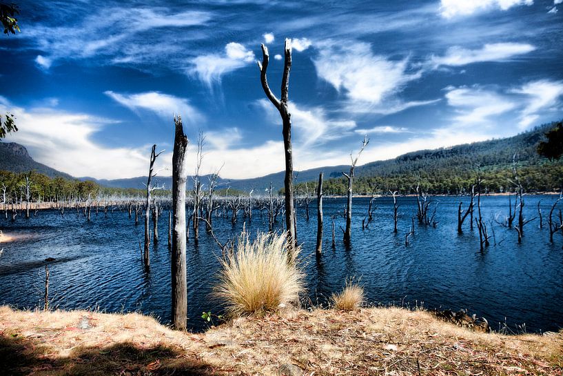 Lake Pedder van René Kempes