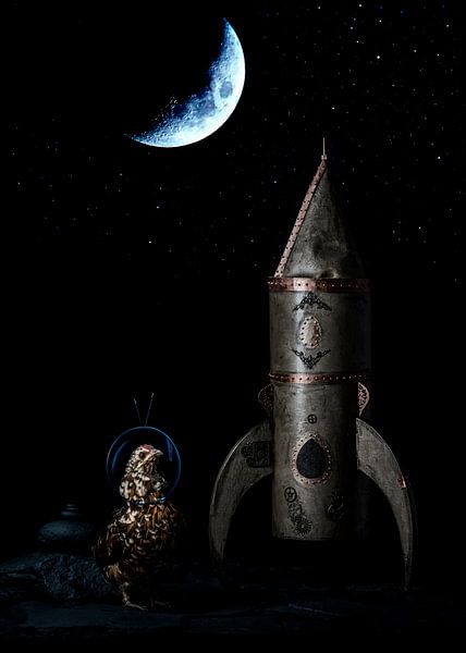 Chicken to space, chicken in space by Corrine Ponsen