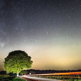 Striking tree at night by Erik Keuker