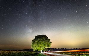 Markante boom bij nacht van Erik Keuker