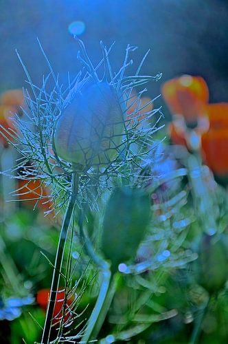 Kleine Dame in Grün