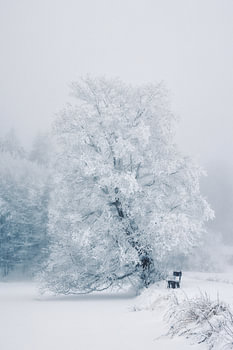 Winters tafereel in het Vogelsberggebergte