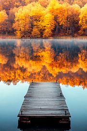 Autumnal reflection by Poster Art Shop