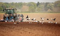 Op ut land  (2)
