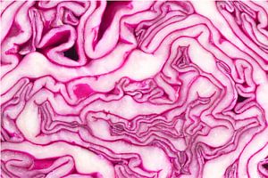Abstracte weergave rode kool