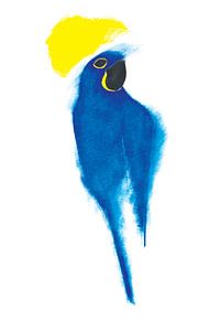Blaupapagei