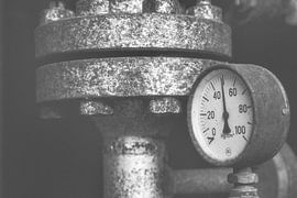 Druckanzeige im Schatten der Zeit von Marcel Hechler