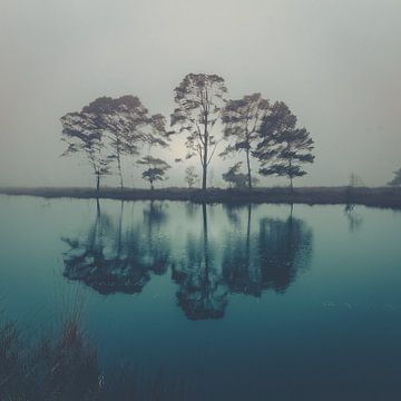 Paysage de rêve d'arbres dans la brume sur Anneke Hooijer