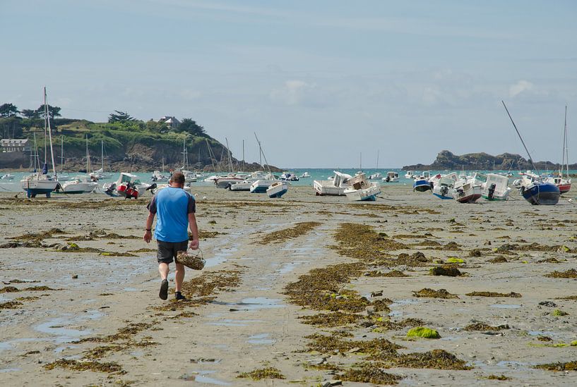 Oesters oogsten in Bretagne van Remco Swiers