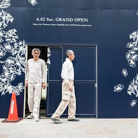 Gezichtsbedrog van Cecile van den Broek