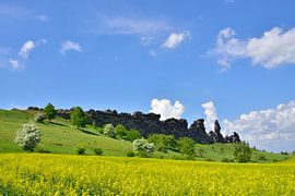 Duivelsmuur in het Harz gebergte van Karin Jähne