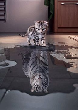 Whiskers and Wonder: A Cat's Portrait by Grease New