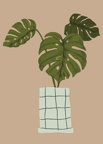 TW living - botanic home 1