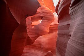 Lower Antelope Canyon by Ton Tolboom