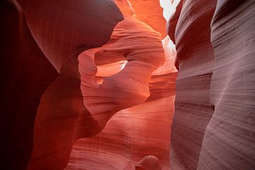 Lower Antelope Canyon zuidwest Amerika van Ton Tolboom