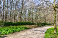 Maria-Hendrika park te Oostende van didier de borle thumbnail