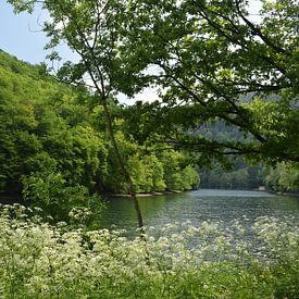 De l'eau, une montagne et des fleurs sur Monique Pulles