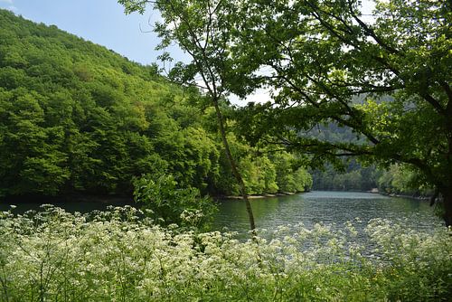 Wasser, ein Berg und Blumen