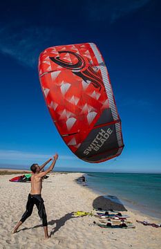 Kites surfen vanaf het eiland Tawila rode zee