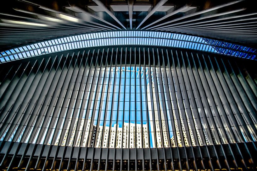 Oculus, New York by Ruby Schiffer