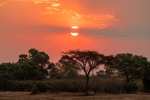 Under African Skies by Robert van Brug