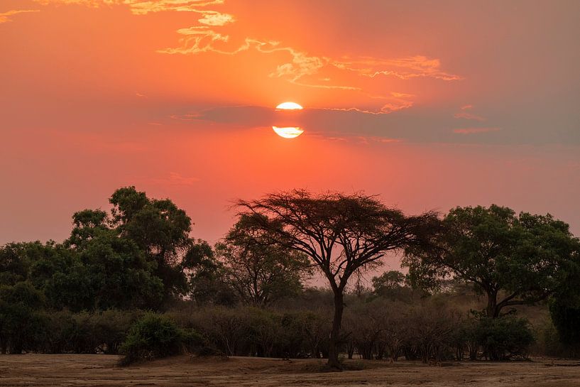Afrikaanse zonsondergang van Robert van Brug