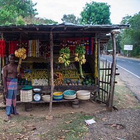 fruitstal van Rony Coevoet