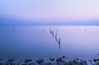 Markermeer
