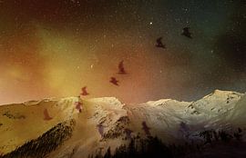 Wunderland von Carla Van Iersel