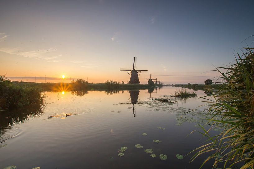 Stille morgen van Jan Koppelaar