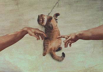 Die Berührung eines Kätzchens