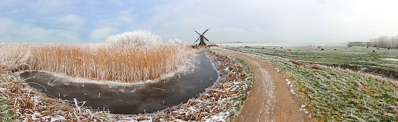 De terpensmole bij IJlst in Friesland. Wout Kok One2expose Photography van Wout Kok