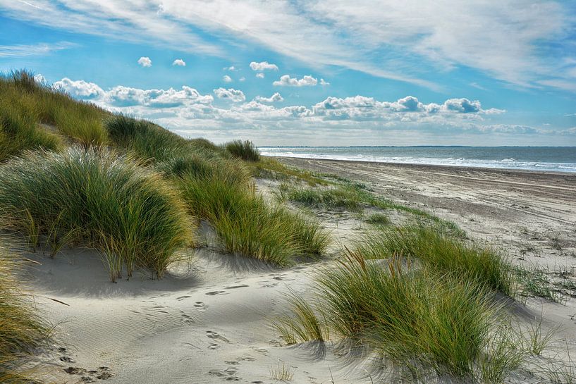 Nederlandse Duinlandschap van Joachim G. Pinkawa