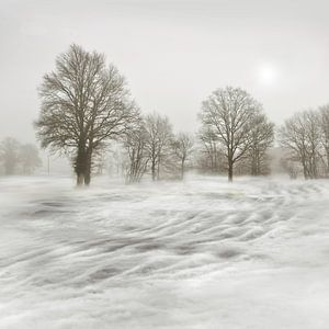 Un matin d'hiver brumeux