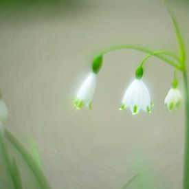 Zomerklokjes van Wendy van Kuler Fotografie
