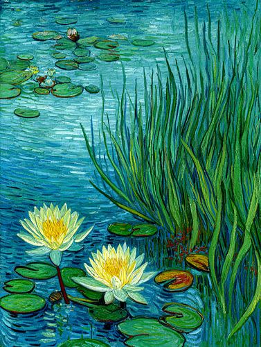 Les nénuphars à deux