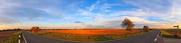 Panorama van een prachtig Noord-Duits landschap met paden en wegen van MPfoto71