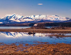 Church of the good Shepard in New Zealand