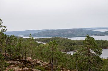Ansichten von Schwedens hoher Küste von Lynn Haverhals