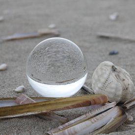 Wrâldbaltsje op het strand van Terschelling van Nynke van der Ploeg