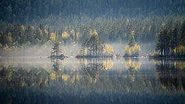 Reflection in a mirror-smooth Swedish lake by Bart cocquart
