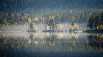 Reflectie in een spiegelglad Zweeds meer van Bart cocquart
