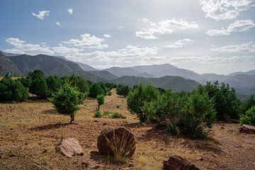 Montagnes de l'Atlas au Maroc sur Eline Chiara
