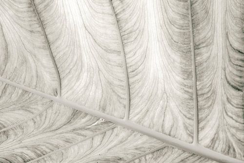 Net niet perfect. Wabi-Sabi. Japandi. Beige en Zilver