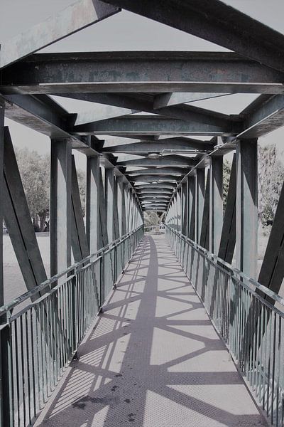 The road to the unknown by Bettie Fischer